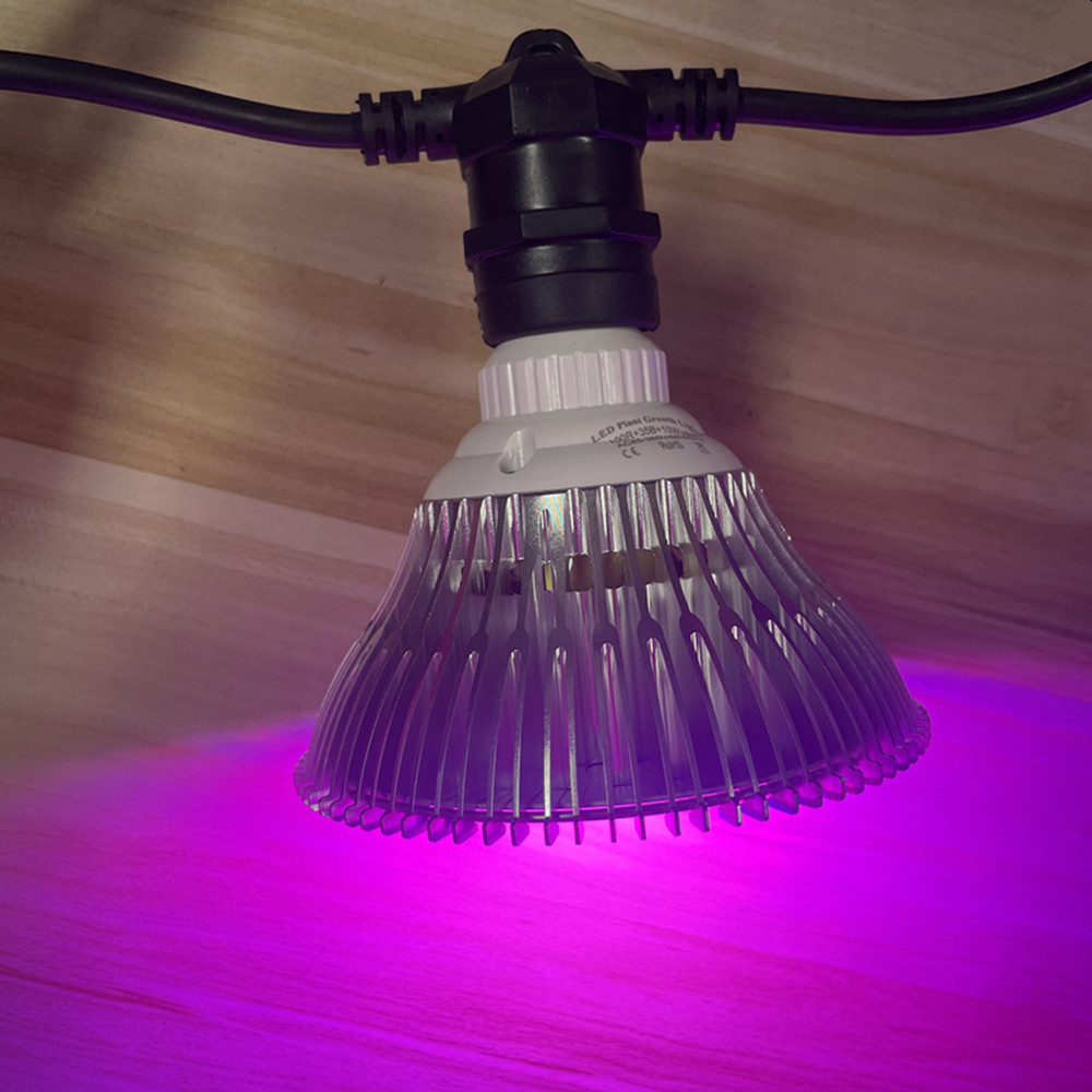 Kabel LED 10M Kelas Komersial  - Outdoor Lighting Extension Cord ulasan dan harga
